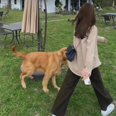 琴思